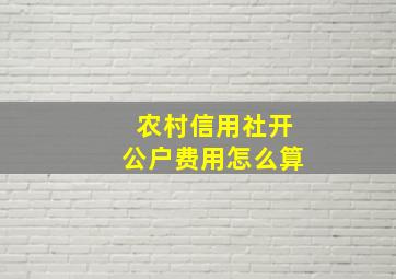 农村信用社开公户费用怎么算