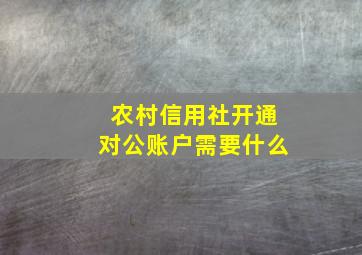 农村信用社开通对公账户需要什么