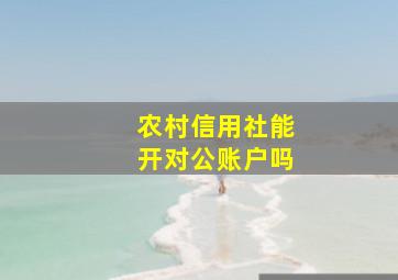 农村信用社能开对公账户吗