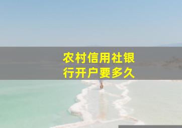 农村信用社银行开户要多久