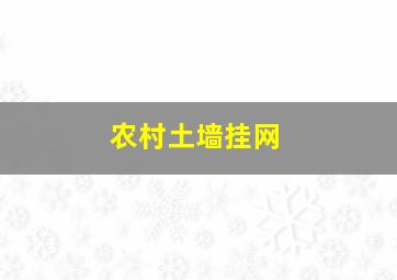 农村土墙挂网