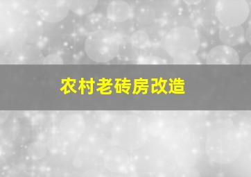 农村老砖房改造