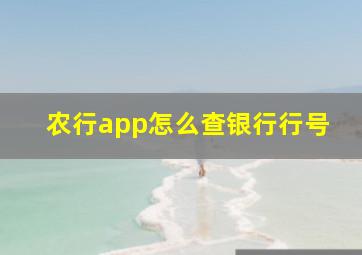 农行app怎么查银行行号