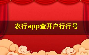 农行app查开户行行号