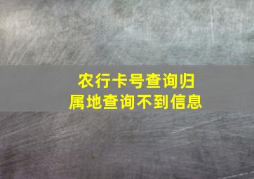 农行卡号查询归属地查询不到信息