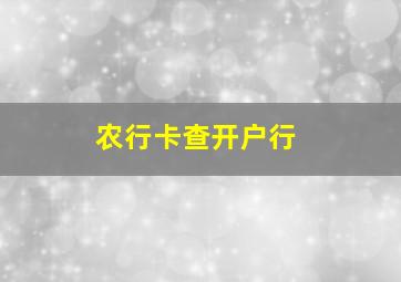 农行卡查开户行