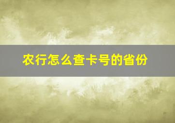 农行怎么查卡号的省份