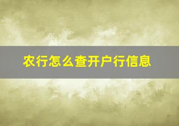 农行怎么查开户行信息