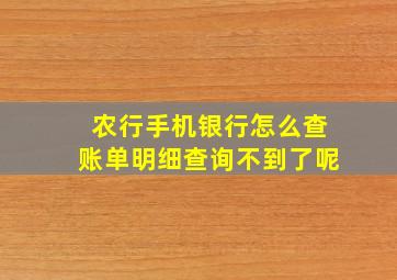 农行手机银行怎么查账单明细查询不到了呢