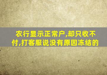 农行显示正常户,却只收不付,打客服说没有原因冻结的