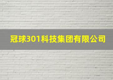 冠球301科技集团有限公司