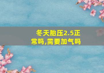 冬天胎压2.5正常吗,需要加气吗