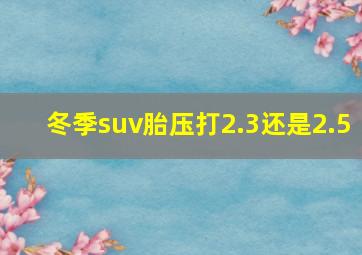 冬季suv胎压打2.3还是2.5