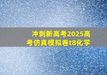 冲刺新高考2025高考仿真模拟卷t8化学