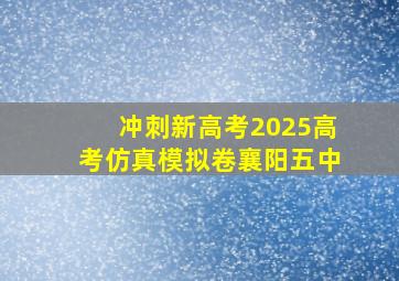 冲刺新高考2025高考仿真模拟卷襄阳五中