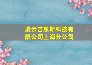 凌云吉恩斯科技有限公司上海分公司