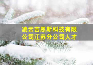 凌云吉恩斯科技有限公司江苏分公司人才