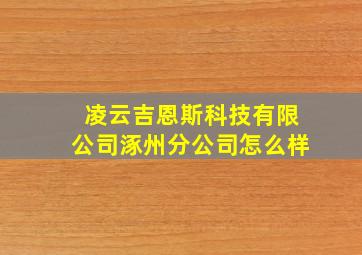 凌云吉恩斯科技有限公司涿州分公司怎么样