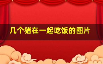 几个猪在一起吃饭的图片