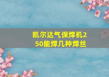 凯尔达气保焊机250能焊几种焊丝