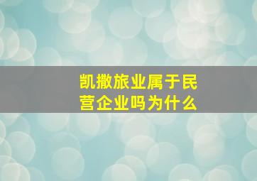 凯撒旅业属于民营企业吗为什么