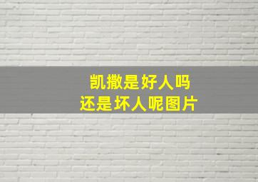 凯撒是好人吗还是坏人呢图片