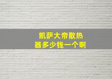 凯萨大帝散热器多少钱一个啊