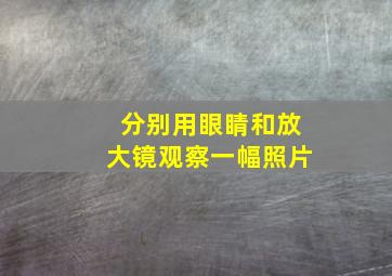 分别用眼睛和放大镜观察一幅照片