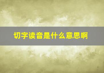 切字读音是什么意思啊