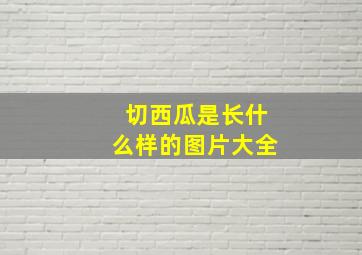 切西瓜是长什么样的图片大全