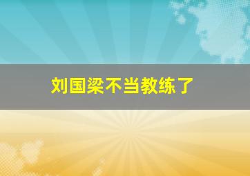 刘国梁不当教练了