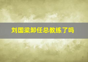 刘国梁卸任总教练了吗