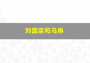 刘国梁和马琳