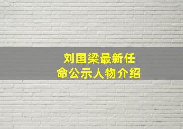 刘国梁最新任命公示人物介绍