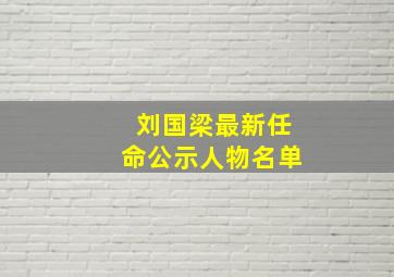 刘国梁最新任命公示人物名单