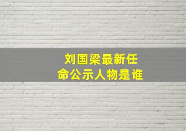 刘国梁最新任命公示人物是谁