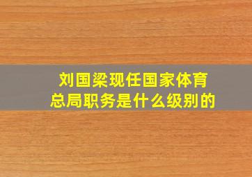 刘国梁现任国家体育总局职务是什么级别的