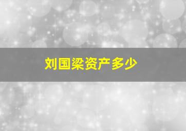 刘国梁资产多少