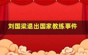 刘国梁退出国家教练事件