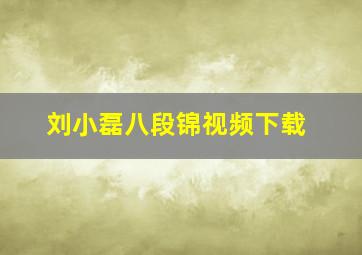 刘小磊八段锦视频下载