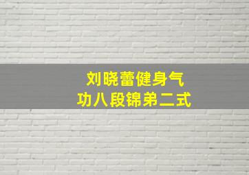 刘晓蕾健身气功八段锦弟二式