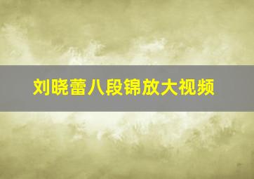 刘晓蕾八段锦放大视频