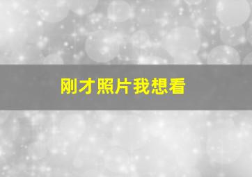 刚才照片我想看