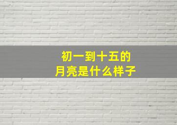 初一到十五的月亮是什么样子