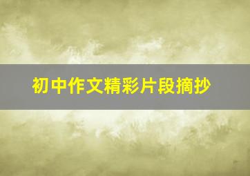 初中作文精彩片段摘抄