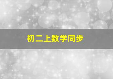 初二上数学同步