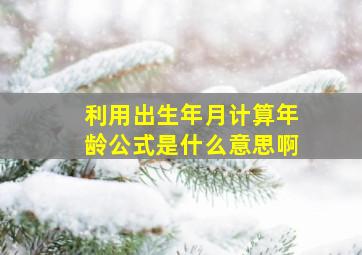 利用出生年月计算年龄公式是什么意思啊