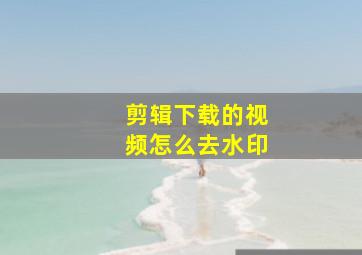 剪辑下载的视频怎么去水印