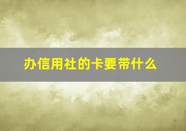 办信用社的卡要带什么