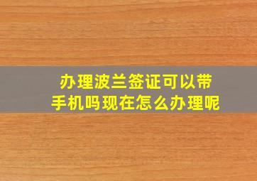 办理波兰签证可以带手机吗现在怎么办理呢